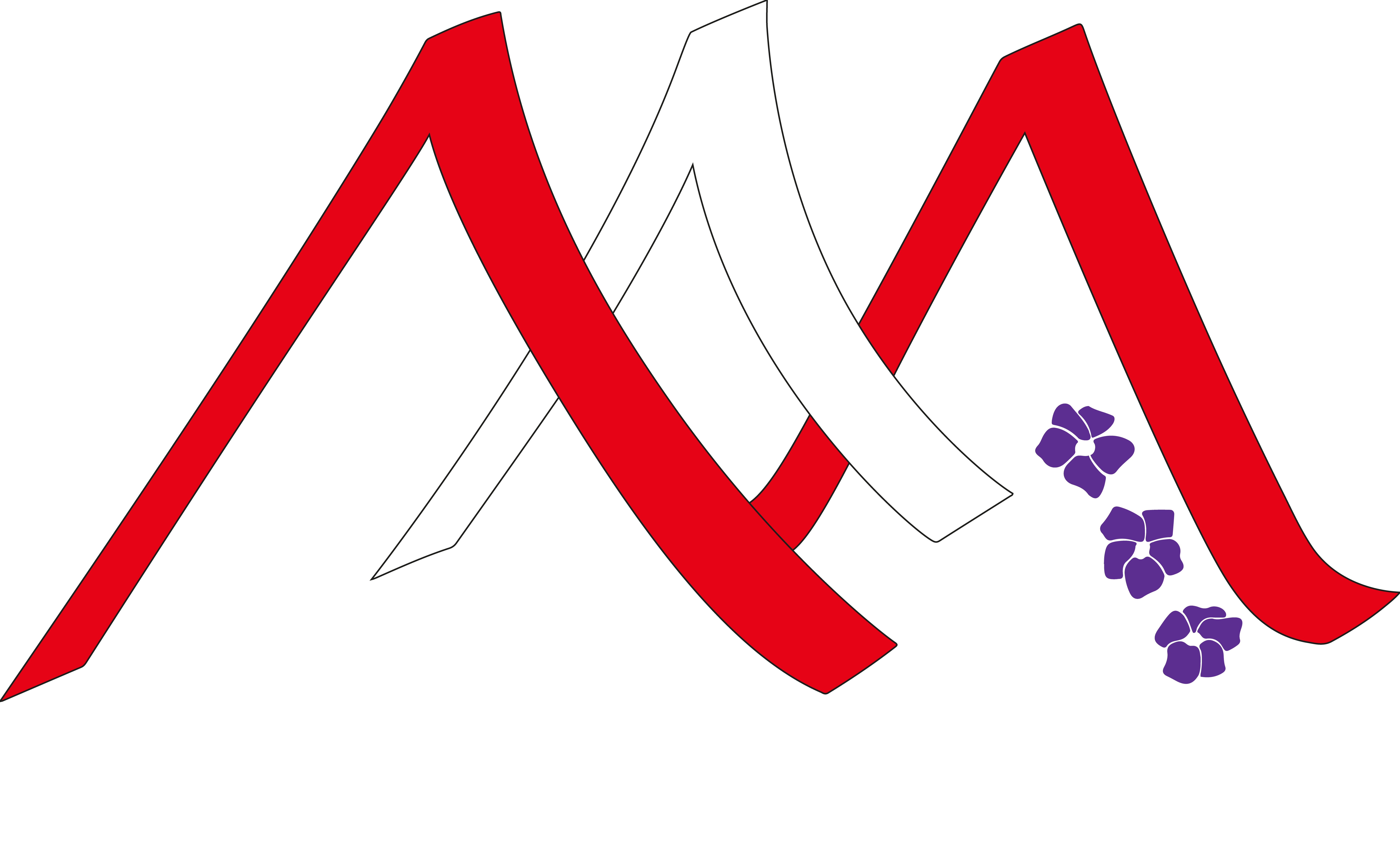 Maristas Perú